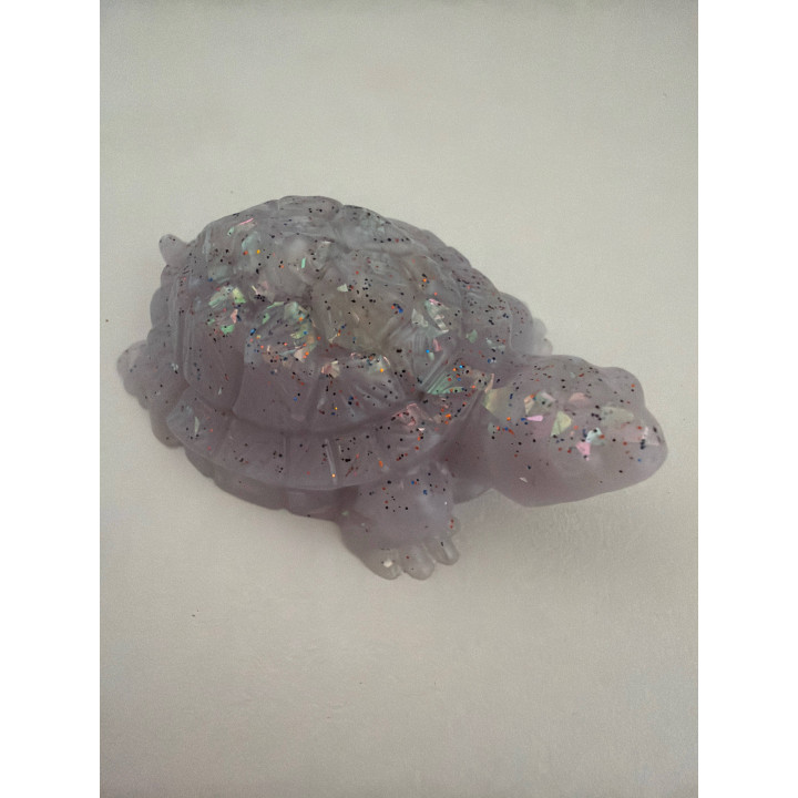 Petite tortues