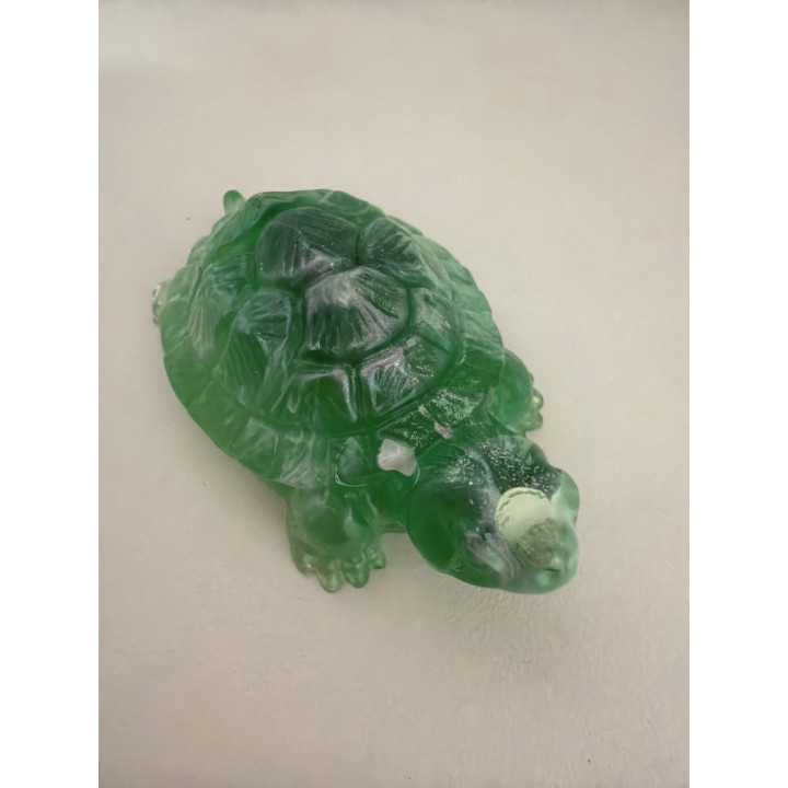 Petite tortues