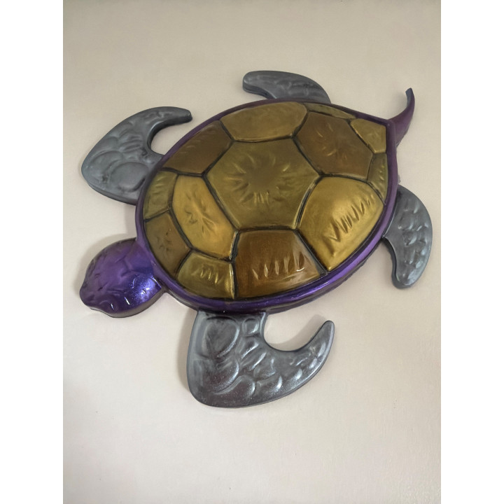 Tortue de mer
