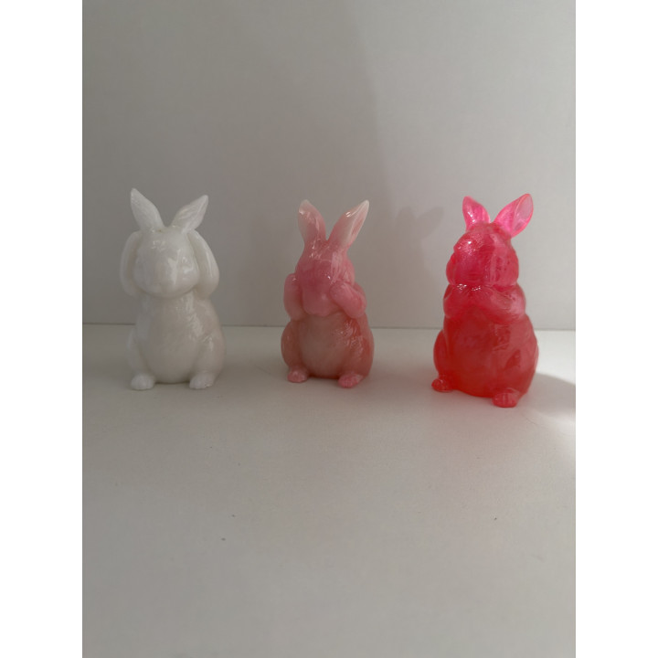 Lapins de la sagesse