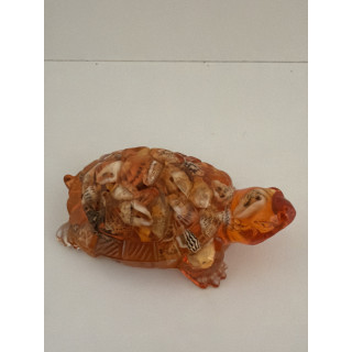 Petite tortues