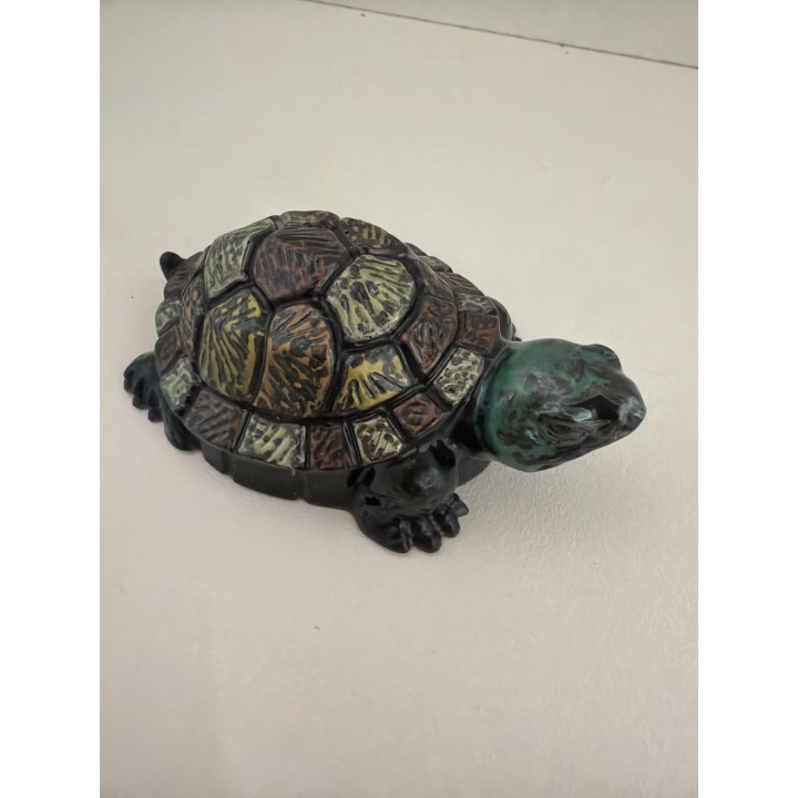 Petite tortues