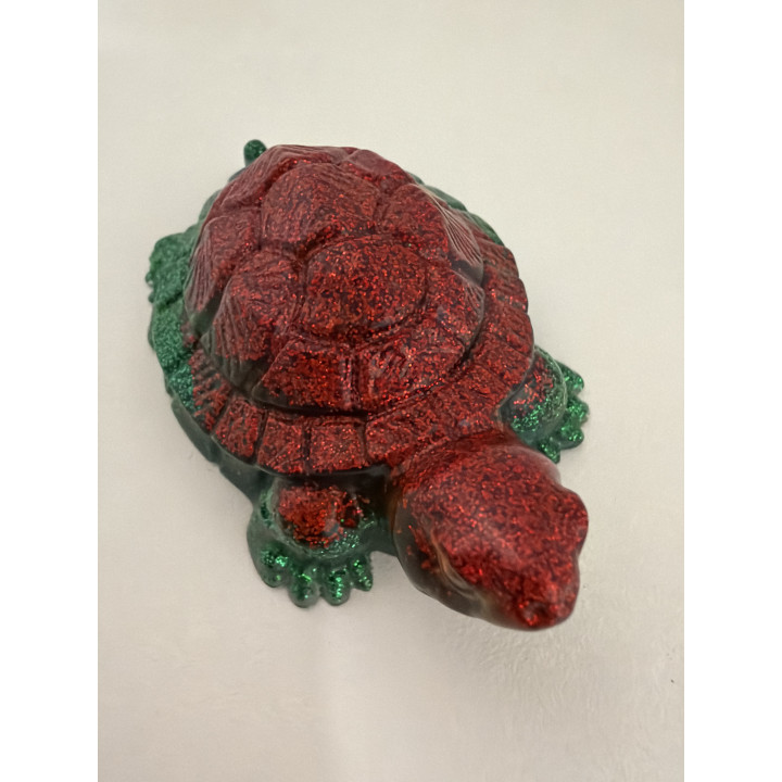 Petite tortues
