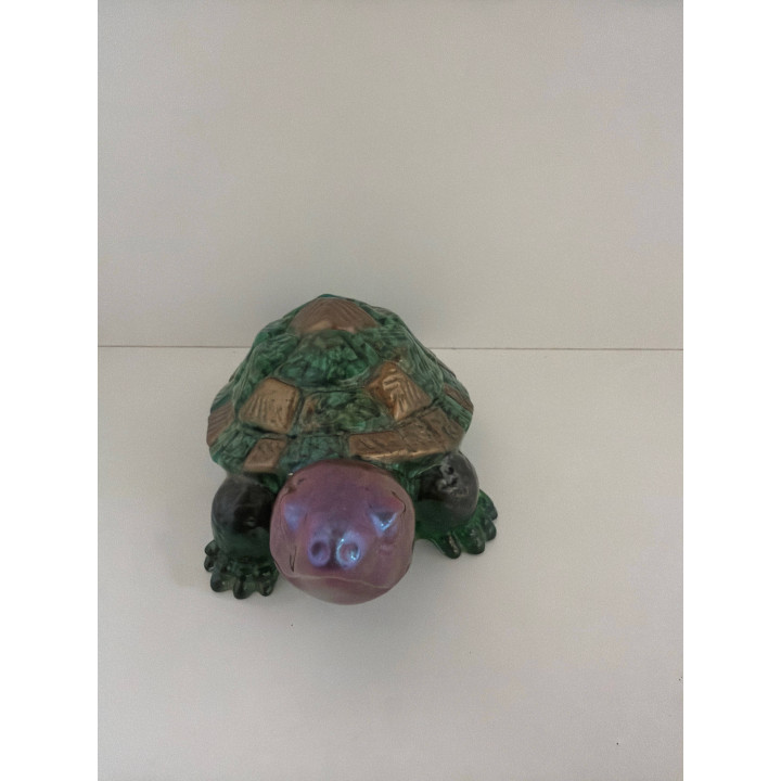 Grande tortue