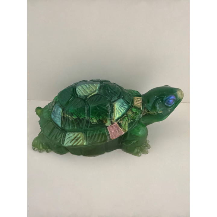 Grande tortue
