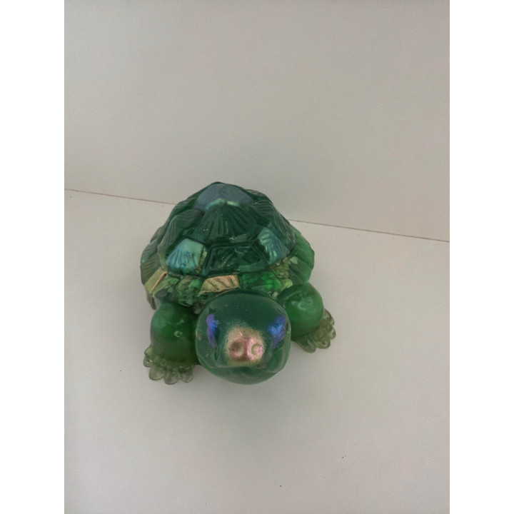 Grande tortue